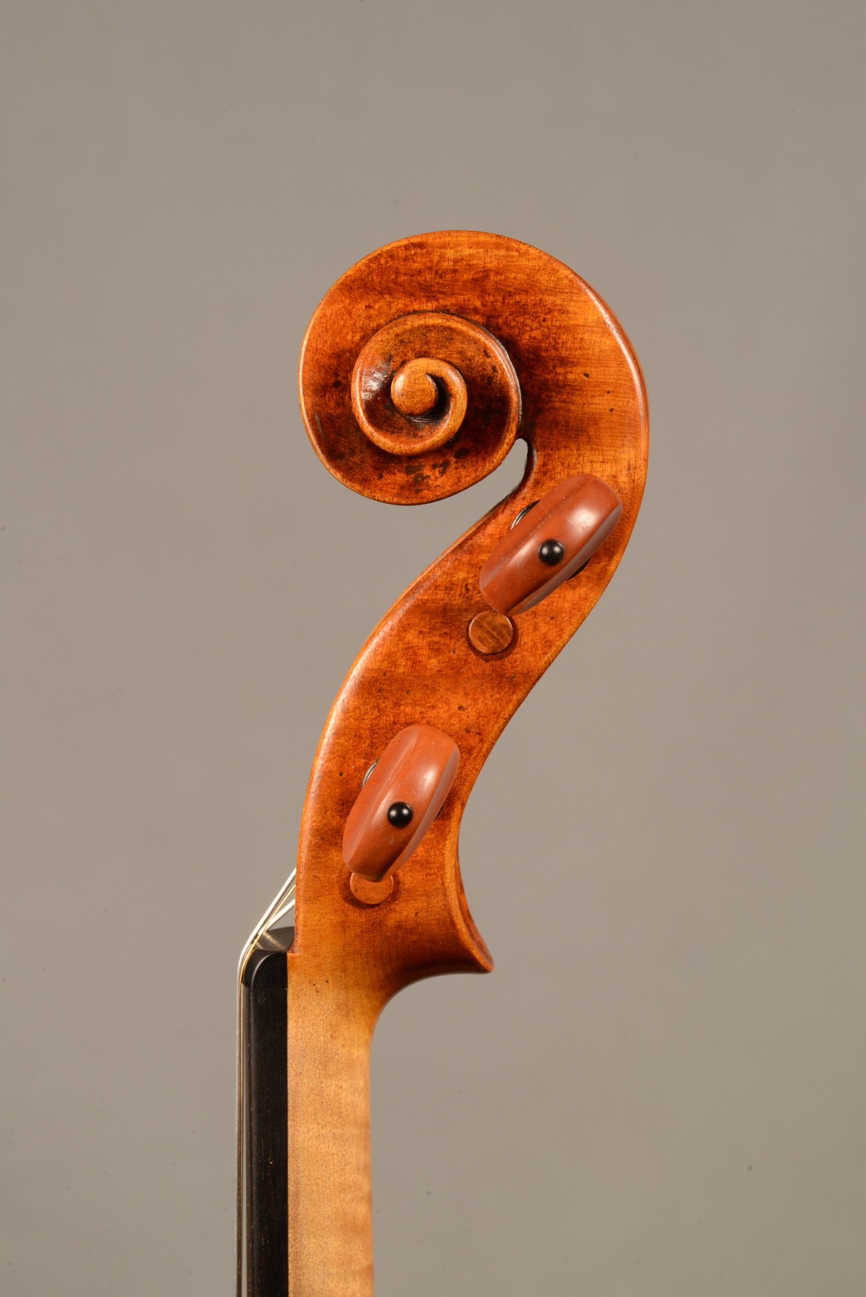 Guarneri 1741